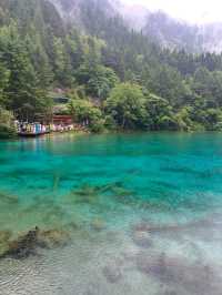 Peacock Lake in Sichuan, Nature Showing Off a Little