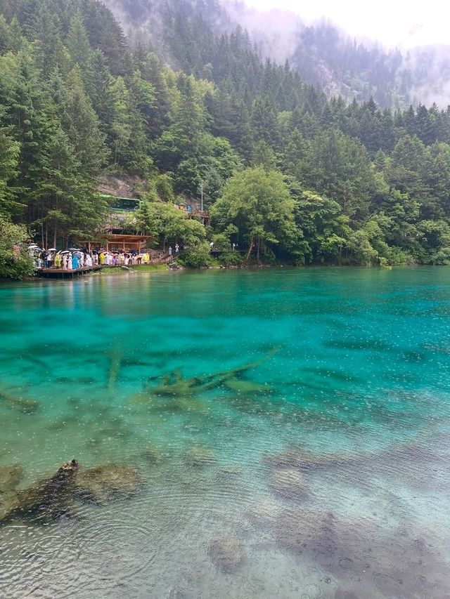 Peacock Lake in Sichuan, Nature Showing Off a Little