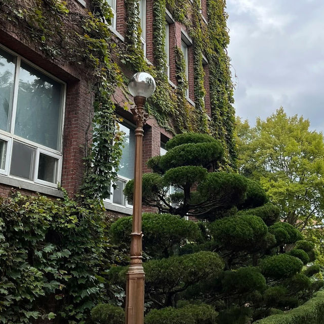 🏛️📚 *Keimyung University (계명대학교): Daegu’s Ivy-League Charm Meets Youthful Energy* 🎒🌸