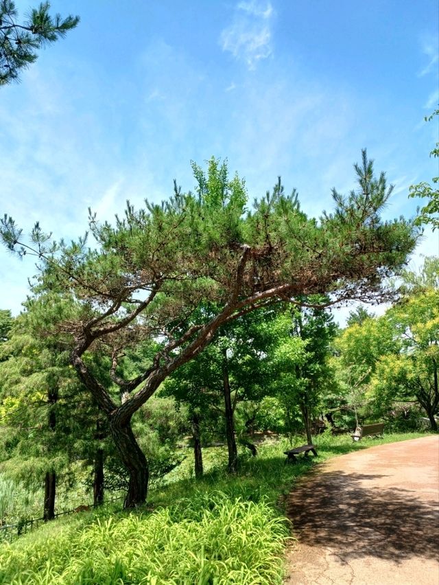 초록 힐링 스팟