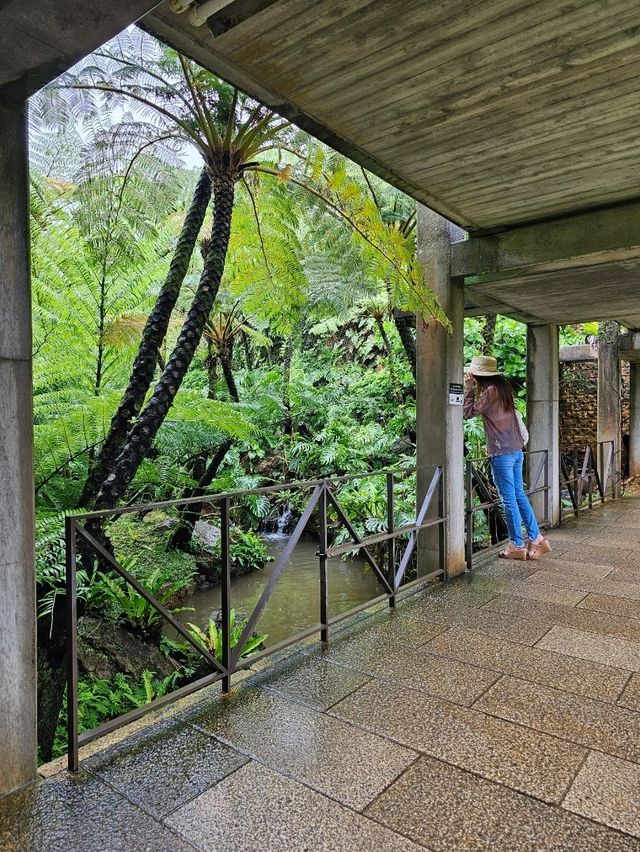 🍹南国カフェで一息、植物と海を感じるトロピカル時間。