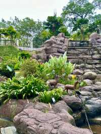 Whispers of Water: A Serene Pause in the Garden