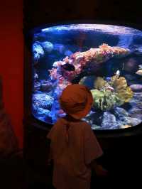 Sea Life Bangkok Ocean World จ.กรุงเทพฯ