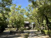 扶桑最初禅窟：聖福寺 山門與日本茶起源的見證