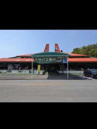 🦁秋吉台サファリランド｜動物たちと超接近！ドキドキのサファリ体験