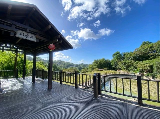 Zhangshu Trail in Wenshan, Chill Walks and Tree Vibes All Day