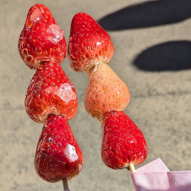 神奈川/鎌倉🇯🇵】いちご好きにピッタリ！ストロベリーマニア🍓 | Trip