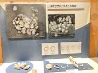 【愛知特別展】古代DNA-日本人のきた道-