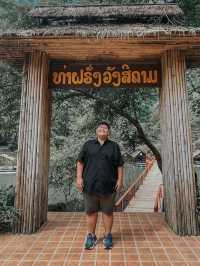 ท่าฝรั่ง วังสีคราม