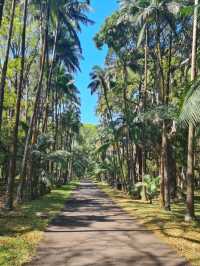 Exploring the Lush Sir Seewoosagur Ramgoolam Botanical Garden
