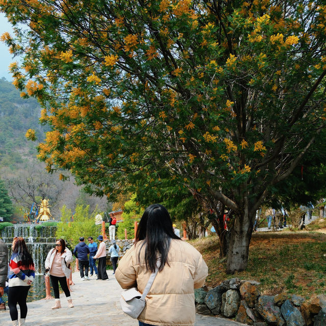 อุทยานน้ำหยก,ลี่เจียง อุทยานน้ำหยก,ลี่เจียง