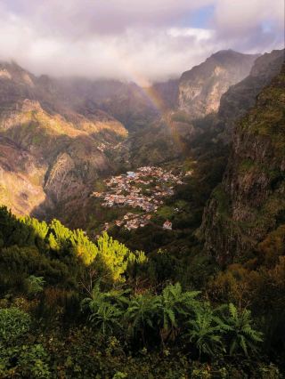 Exploring the Colorful Charm of Funchal