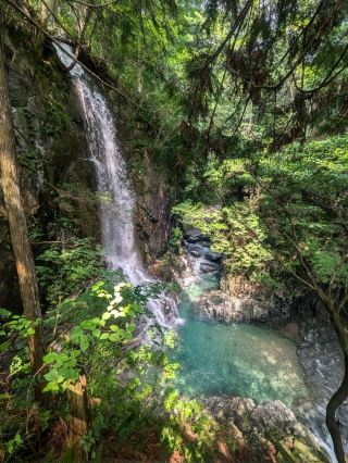Purification Tour of Gifu Waterfalls & Magome Trip