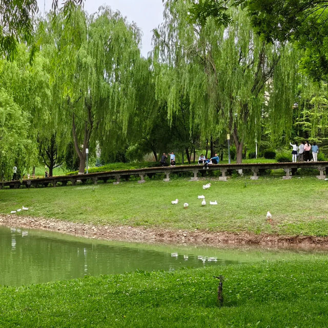🌿 Yintan Wetland Park — Nature’s Calm by the Sea