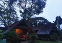 Taman Negara – Hanging Out with a 130-Million-Year-Old Legend