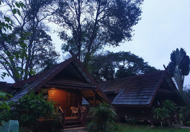 Taman Negara – Hanging Out with a 130-Million-Year-Old Legend