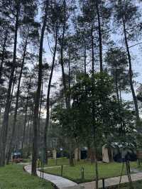 Bobocabin Cikole Experience 🔥