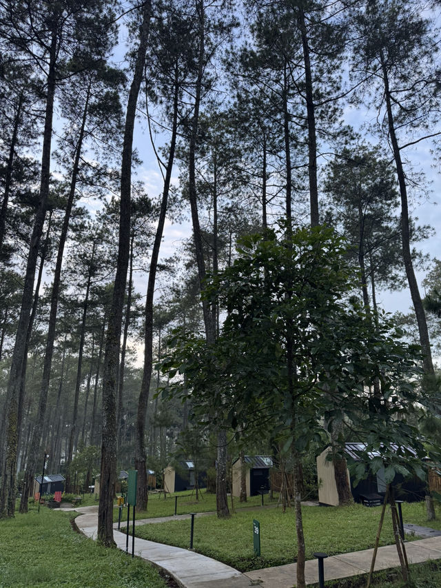 Bobocabin Cikole Experience 🔥