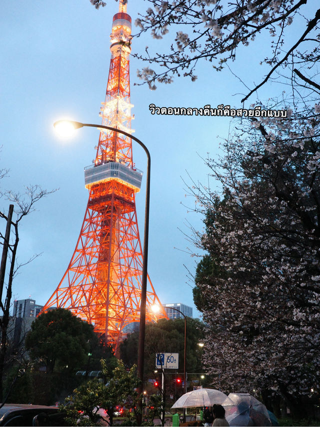 จุดชมซากุระใกล้ Tokyo Tower🗼 