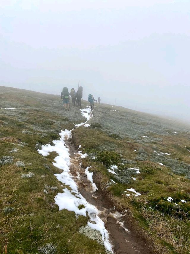 Alpine National Park (VIC)