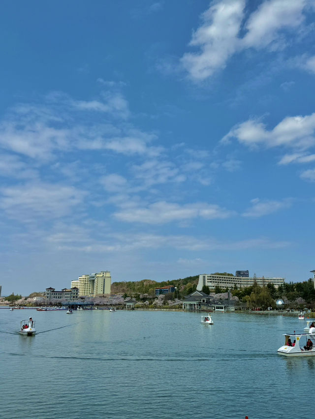 🌸 경주 여행