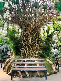 Baguio Botanical Garden: A Green Sanctuary in the City of Pines