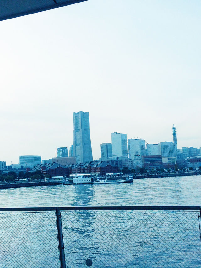 横浜　波を描く屋上と海景色に包まれて — 横浜大さん橋で過ごす自由時間
