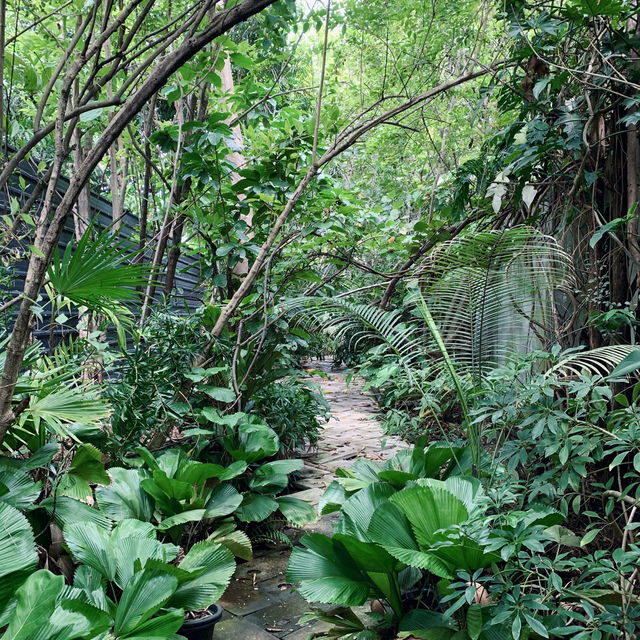 ☕️ ปูรณ์ (POON) คาเฟ่ฟีลธรรมชาติกลางบางแสน🌿