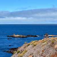 Big Sur Road Trip – California’s Scenic Highway 1