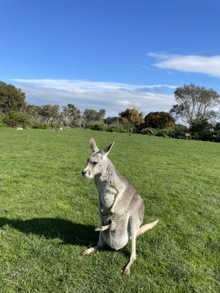 Philip Island Wildlife Park