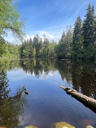 蒙迪公園 – 高貴林的城市森林逃逸地