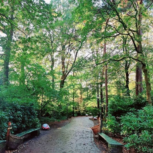 Fairytale Forest (Efteling)