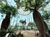 🌵【上海新地標！亞洲最大溫室花園「上海溫室花園」開放啦～沙漠雨林一次看夠，隨手一拍就是科幻大片！】🌵