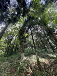 Trekking in beautiful Moganshan mountain 莫干山