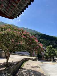 돌빛과 바람 사이를 걷는 시간, 구례 화엄사