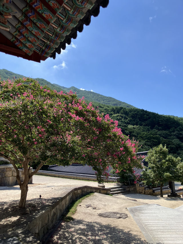 돌빛과 바람 사이를 걷는 시간, 구례 화엄사