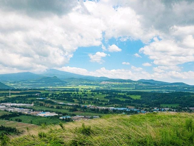 🌿 금악오름 – 제주 자연의 숨결을 느끼다