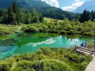 Zelenci Nature Reserve