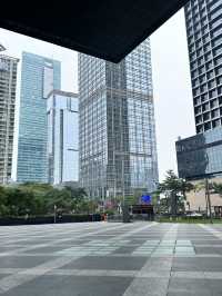 🌟 Somerset Grandview Shenzhen