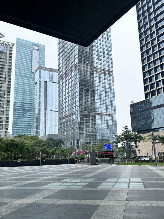 🌟 Somerset Grandview Shenzhen
