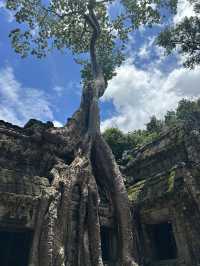 Angkor Wat Amazing! 