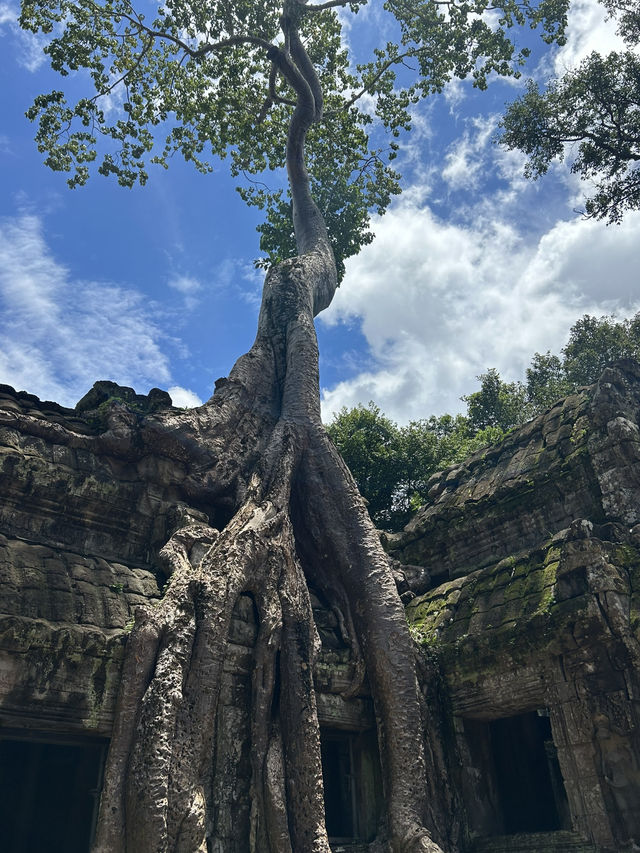 Angkor Wat Amazing! 