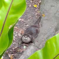 台北市立動物園路線攻略