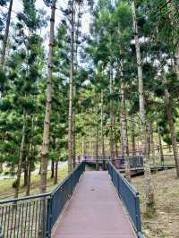 🌲 Taman Saujana Hijau – A Green Escape for Walks, Jogs & Fresh Air 🌿