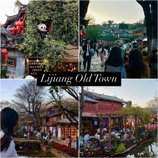 1 Day 1 Night at Lijiang Old Town 🏯✨