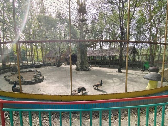勞動公園免費入場超chill放鬆
