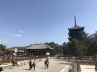興福寺（こうふくじ）