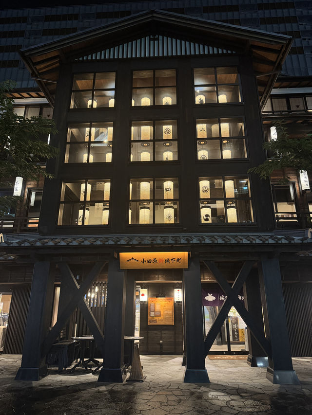 日本|箱根絕對要入手的周遊券 日本|箱根絕對要入手的周遊券