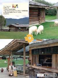 แจกPlan!! Lijiang - Shangri-la
