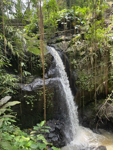インドネシア・バリ島／ウブド近郊】神秘と静寂の「Goa Gajah